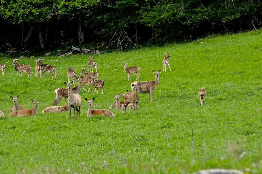 Agriturismo Il Passeggere Bruscoli 0*,